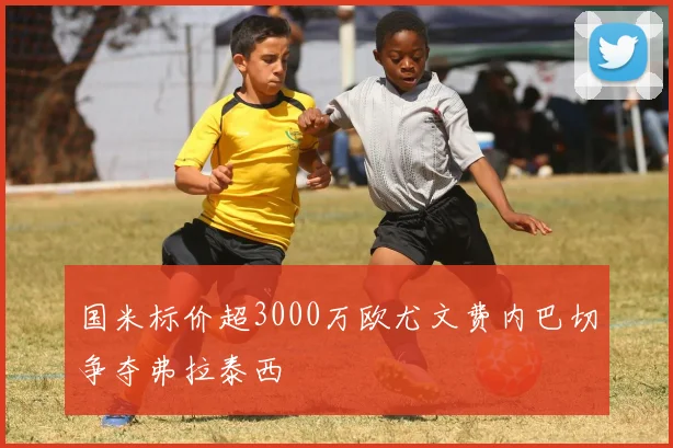 国米标价超3000万欧尤文费内巴切争夺弗拉泰西