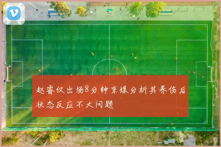 赵睿仅出场8分钟京媒分析其养伤后状态反应不大问题