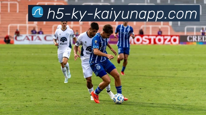 开云体育平台生态图