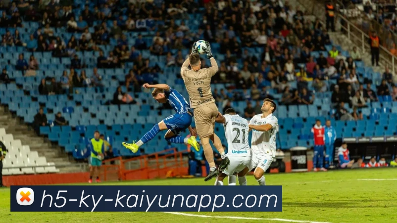 开云体育APP 封面图